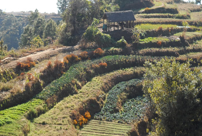 Ten most important things you have to remember before you do trekking in the Himalayas