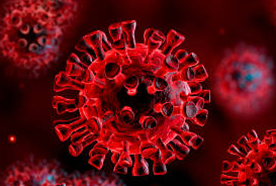 Why Nepal will not suffer from the Covid-19 Pandemic like the west?