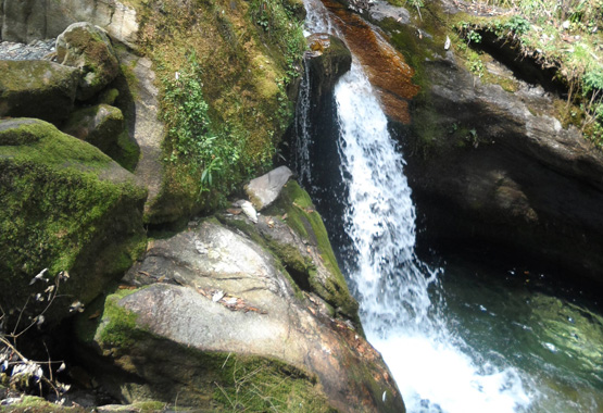 Walking holiday in Nepal